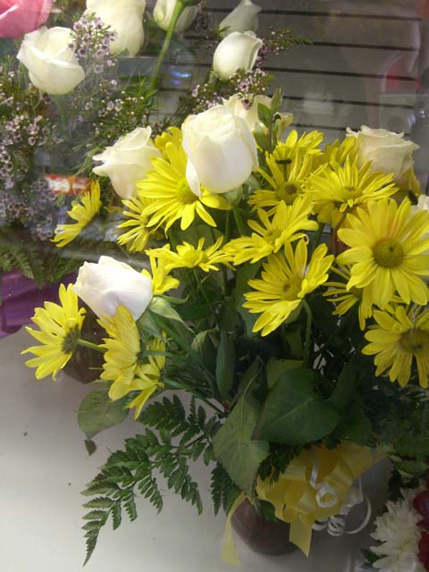 CIMG0477