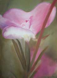 bigflower